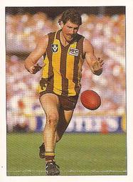 1990 Select AFL Stickers #132 Robert DiPierdomenico Front